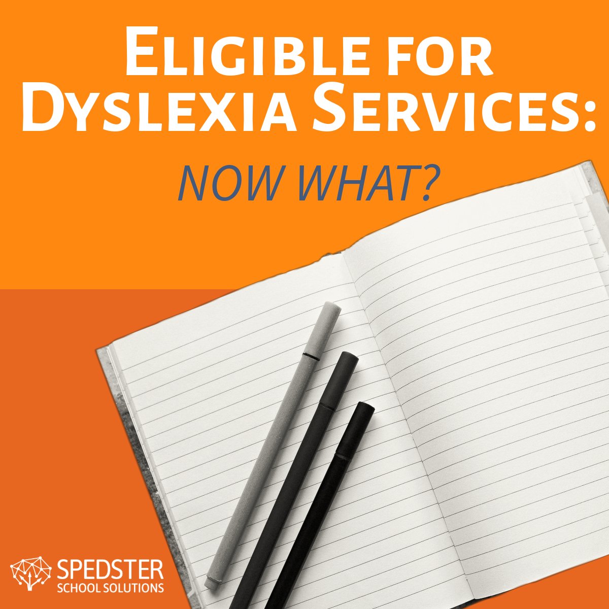 KurtHulett's tweet photo. 🤓Spedster School Solutions can help you provide the best assessment and monitoring for your students! 
And if addressing dyslexia feels challenging, Spedster Learning Solutions is here to support both educators and students.  https://t.co/yE4vygopdM https://t.co/QKjBNYeUCa