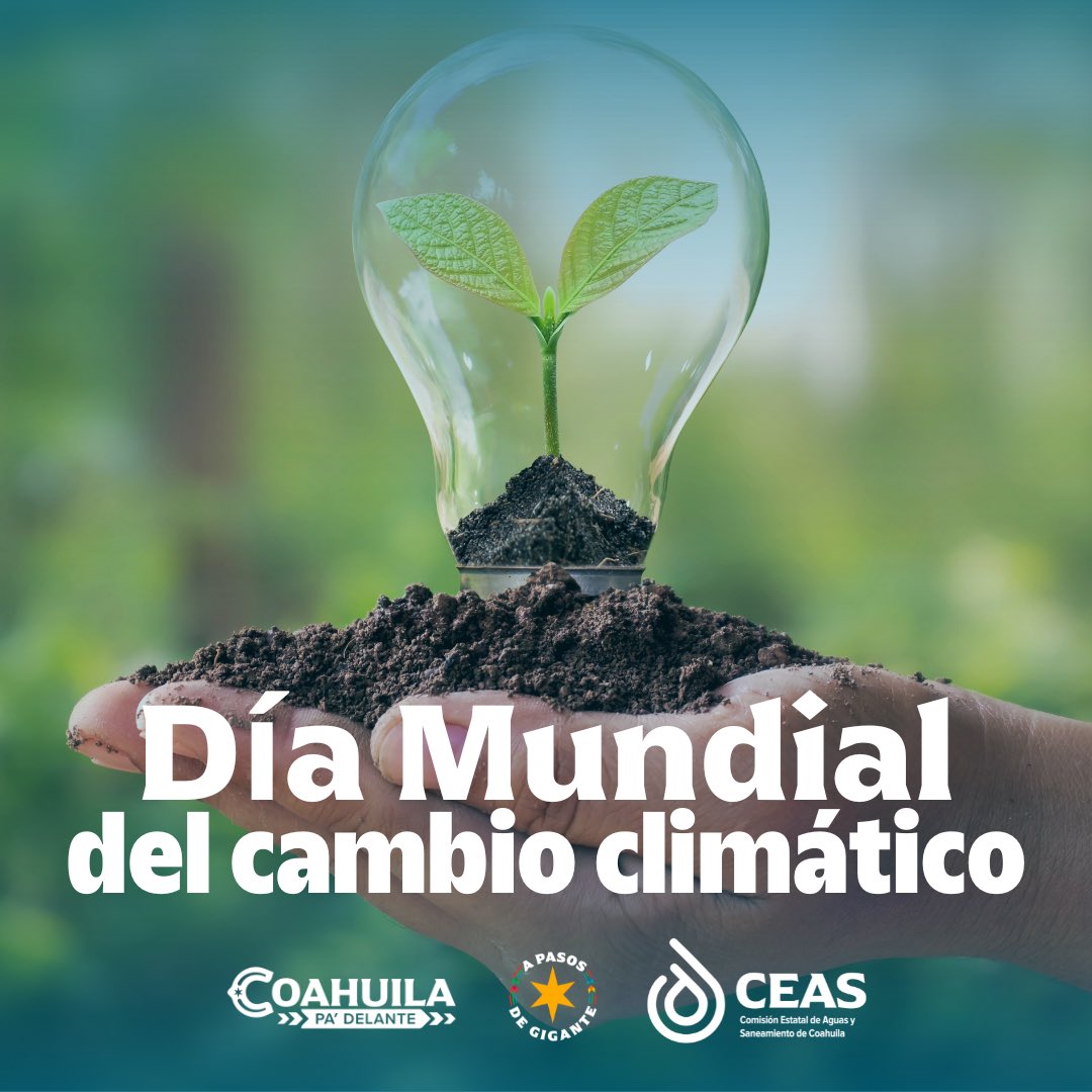 CEAS Coahuila tweet media