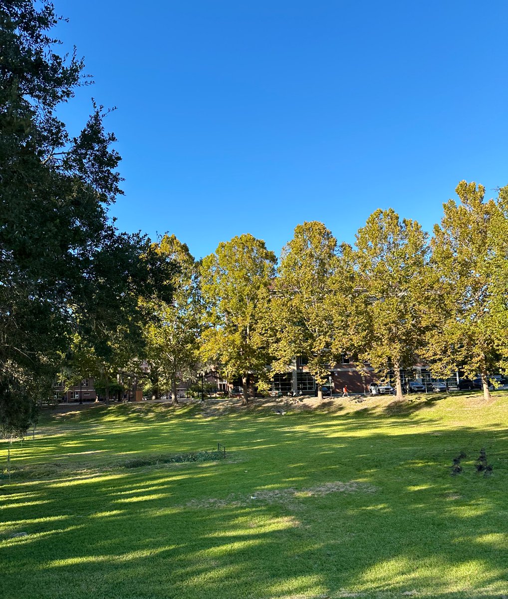 Alexa Freedman tweet media