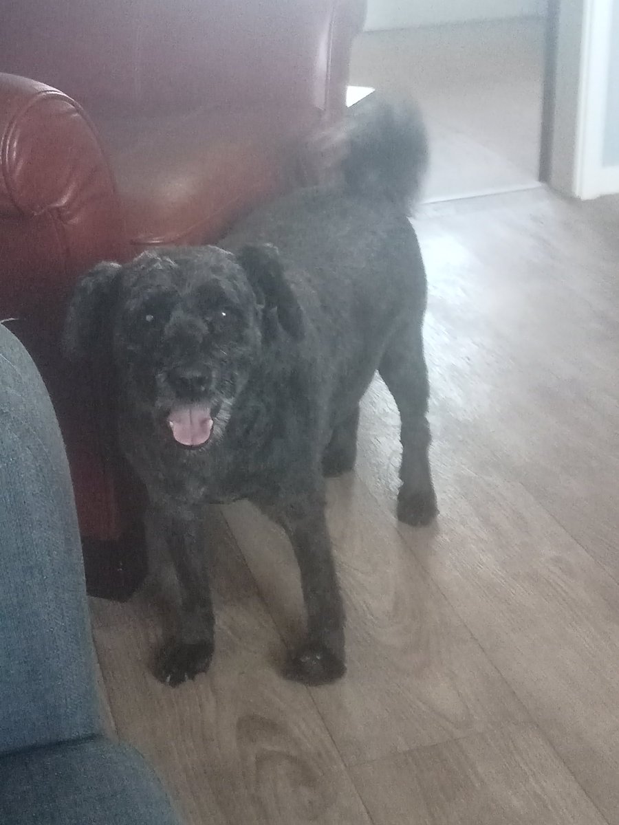 Cathy (@cathyc78) on Twitter photo <a href="/jenkins_sue/">Sue Jenkins</a> Awwww R.I.P Dean .
We have Deans Dog Billy ,
My Brother Billy took him on when he passed <a href="/jenkins_sue/">Sue Jenkins</a> Awwww R.I.P Dean .
We have Deans Dog Billy ,
My Brother Billy took him on when he passed