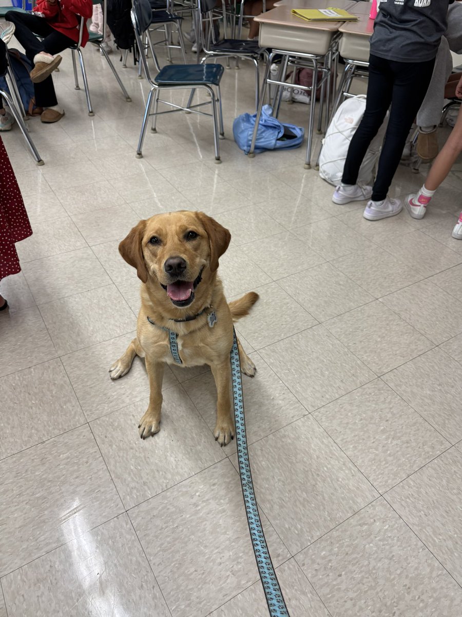 Kimberly Simon tweet media