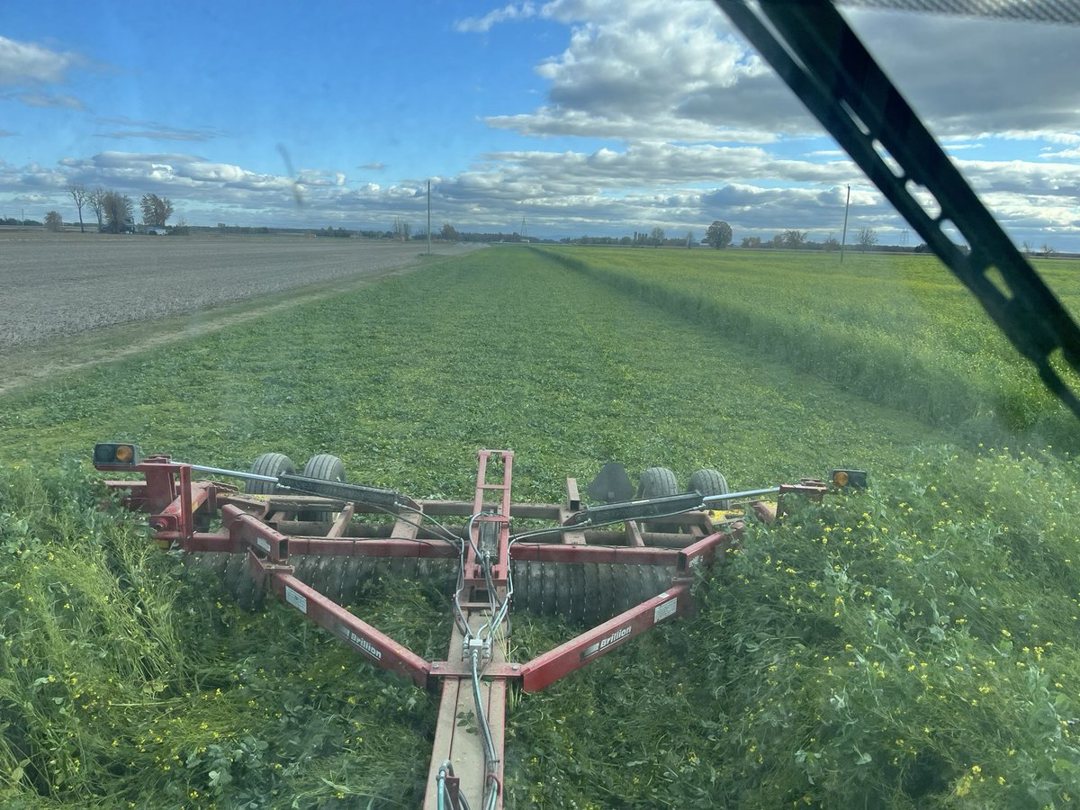 Finally time to get cover crop worked in. Frost last week basically slowed down growth and still good time to get it disc ripped in dry conditions