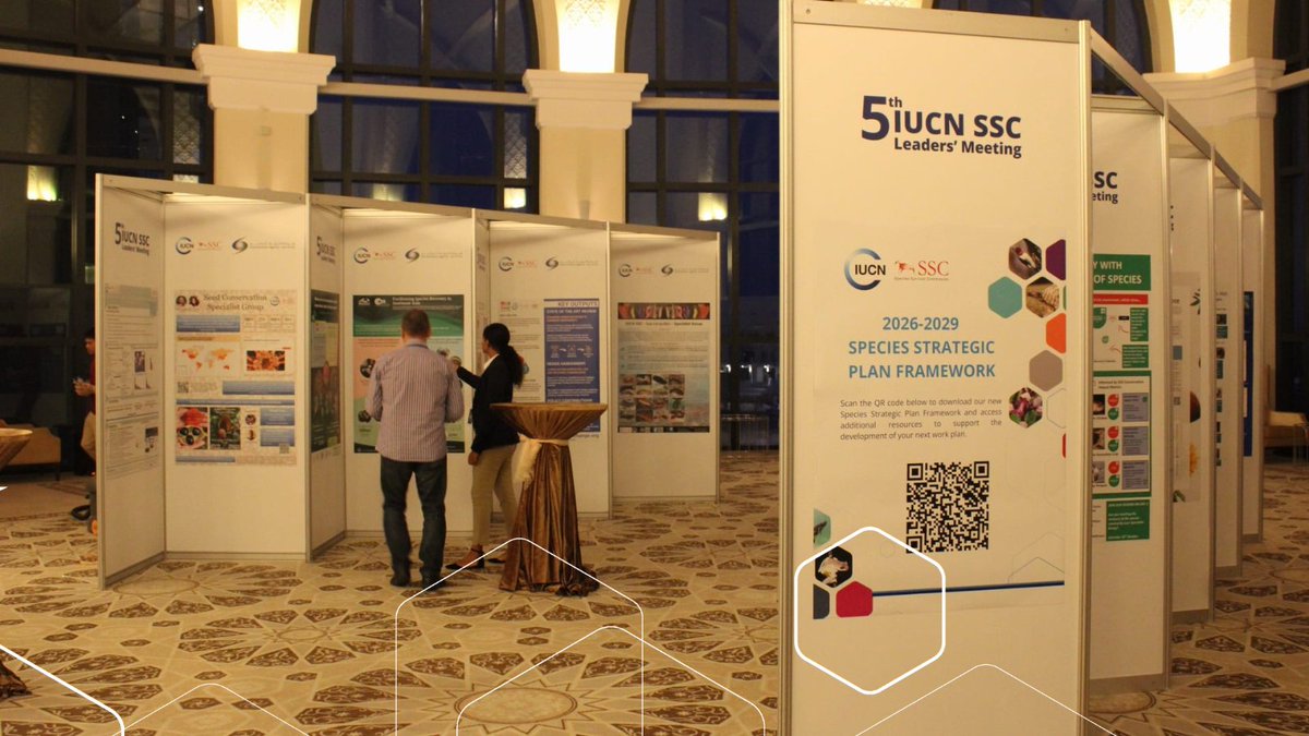 IUCNssc's tweet photo. 🌍 Excited to kick off the #SSCLeadersMeeting2024 with over 300 conservation experts, in collaboration with @EADTweets 
🤝 Together, we’ll share knowledge and strategies to protect our planet’s diverse species.

Let’s make an impact this weekend!

#WeAreSSC #ConservationWorks https://t.co/XNJQrahwZP