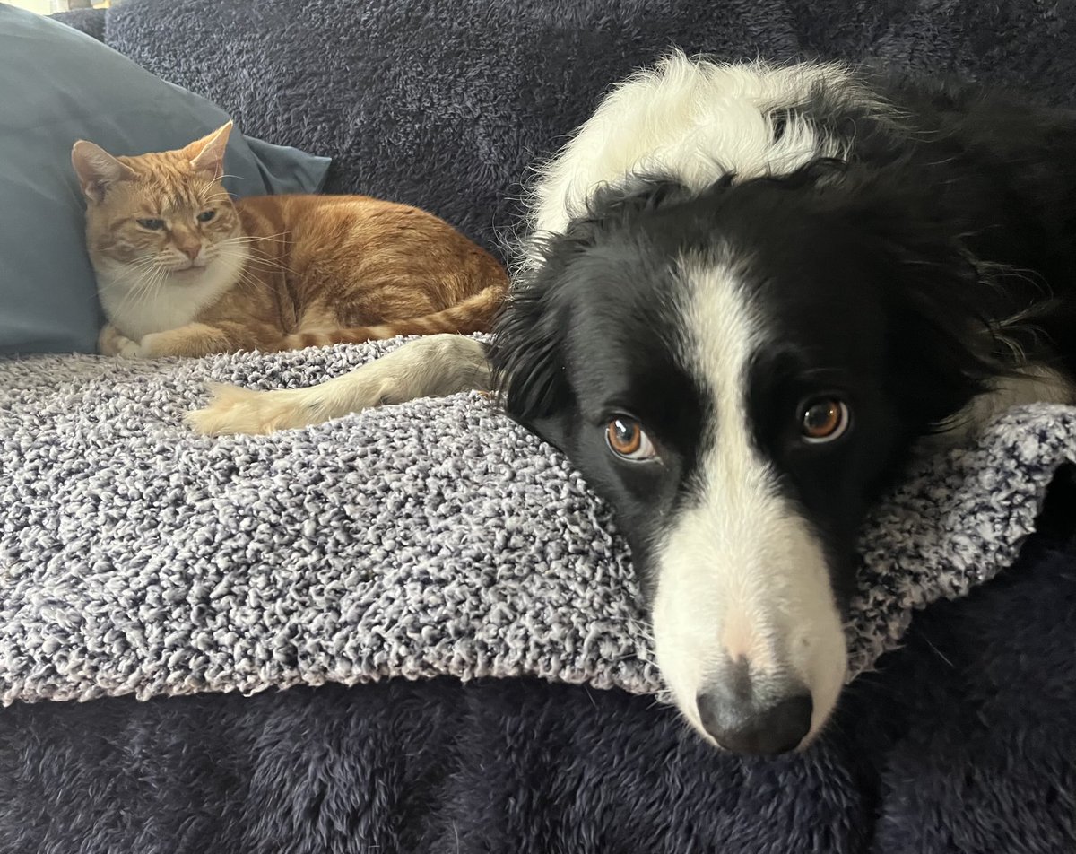 Not sure why she’s looking at me like that - that’s where I usually sit 😉