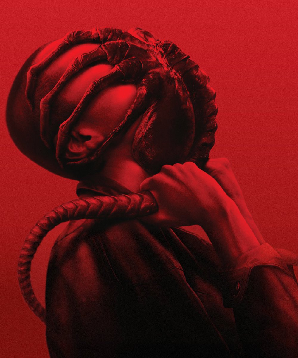 bsha0517's tweet image. Exciting news for #Alien fans! A sequel to #AlienRomulus is officially in the works, with Fede Alvarez in talks to return. Cailee Spaeny and David Jonsson expected back. Get ready for more Xenomorph terror! 🔥👽 #AlienFranchise #HorrorMovies