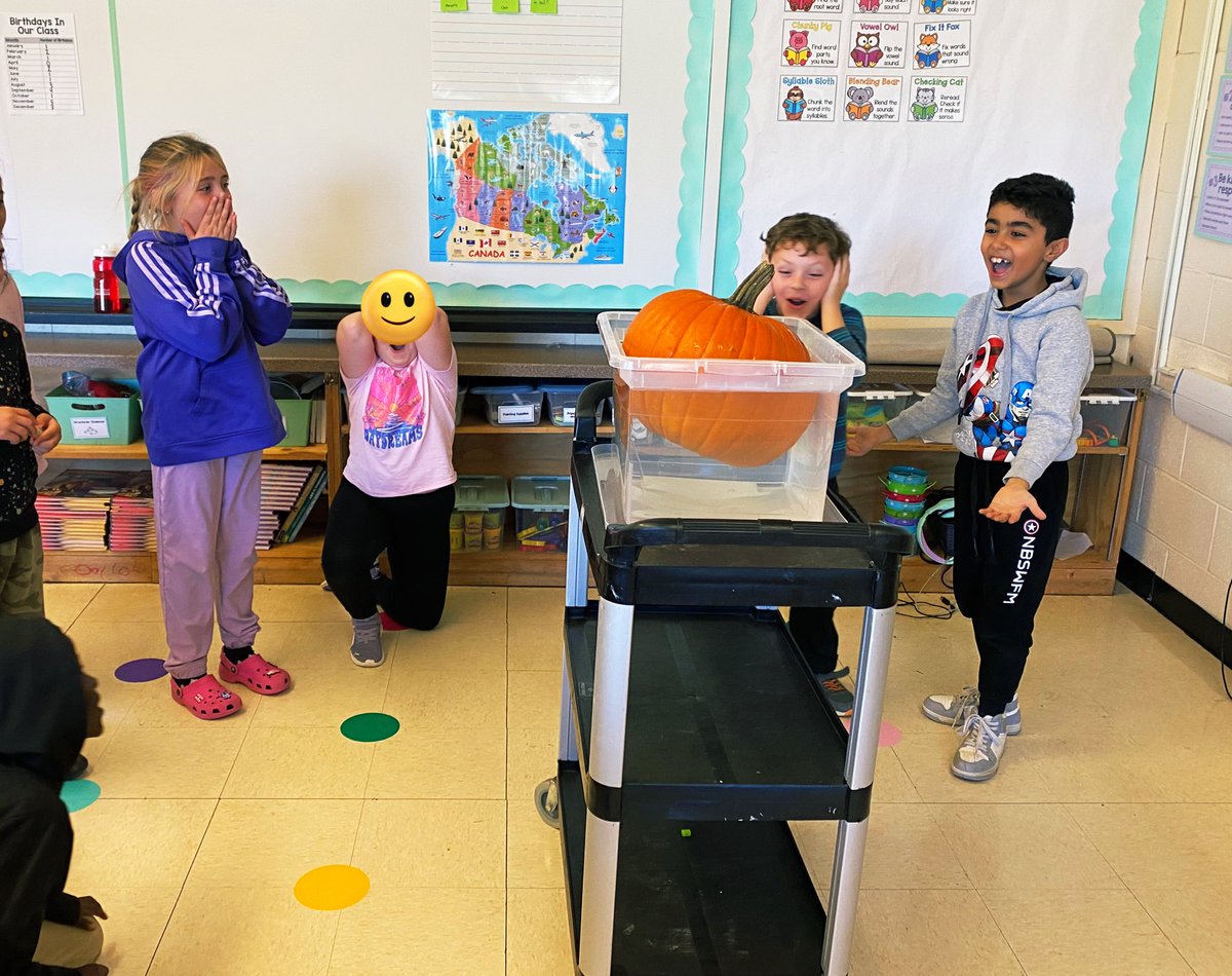 Emilie Power tweet media