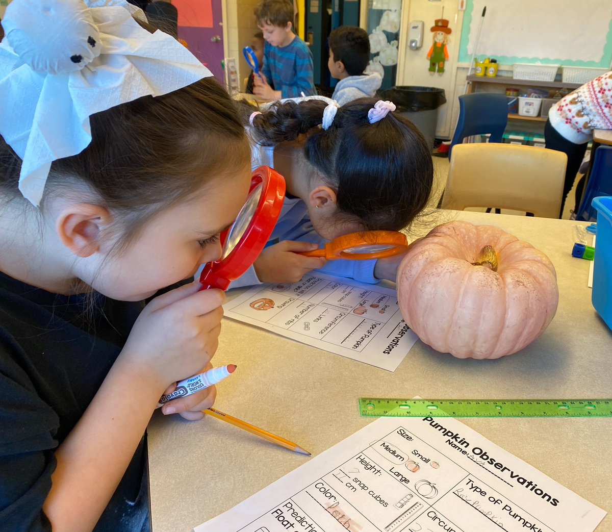 Emilie Power tweet media