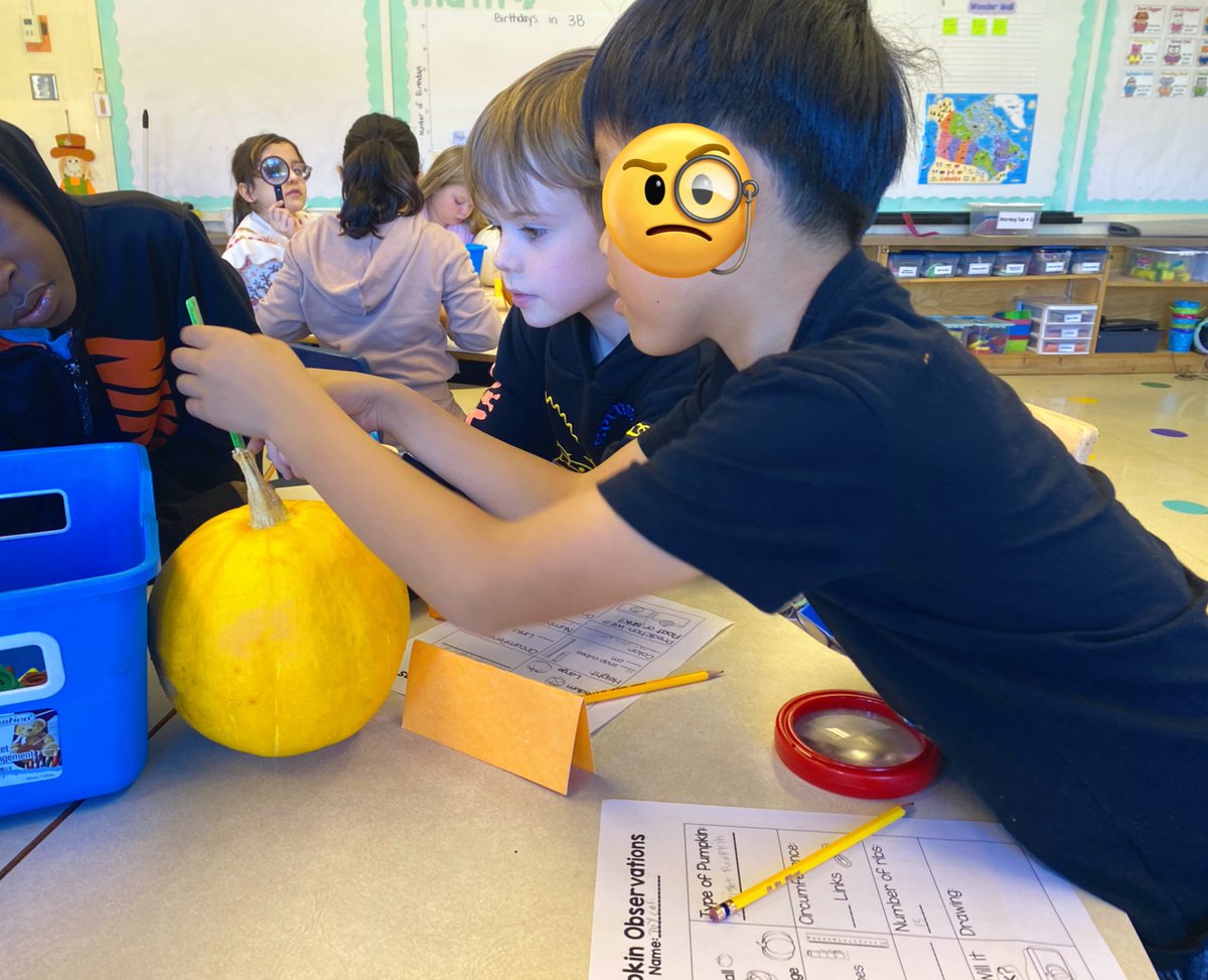 Emilie Power tweet media