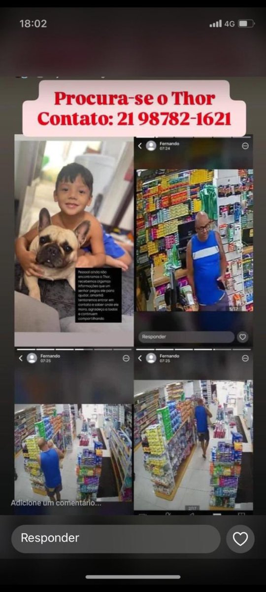 Infelizmente ontem o cachorro do meu sobrinho fugiu de manhã cedo,  um senhor achou ele na famarcia e resolveu AJUDAR e pegou o cachorro, estamos procurando ele pois o cachorro tem dono!
***** só queremos o cachorro, caso alguém conheça esse senhor entra em contato*****