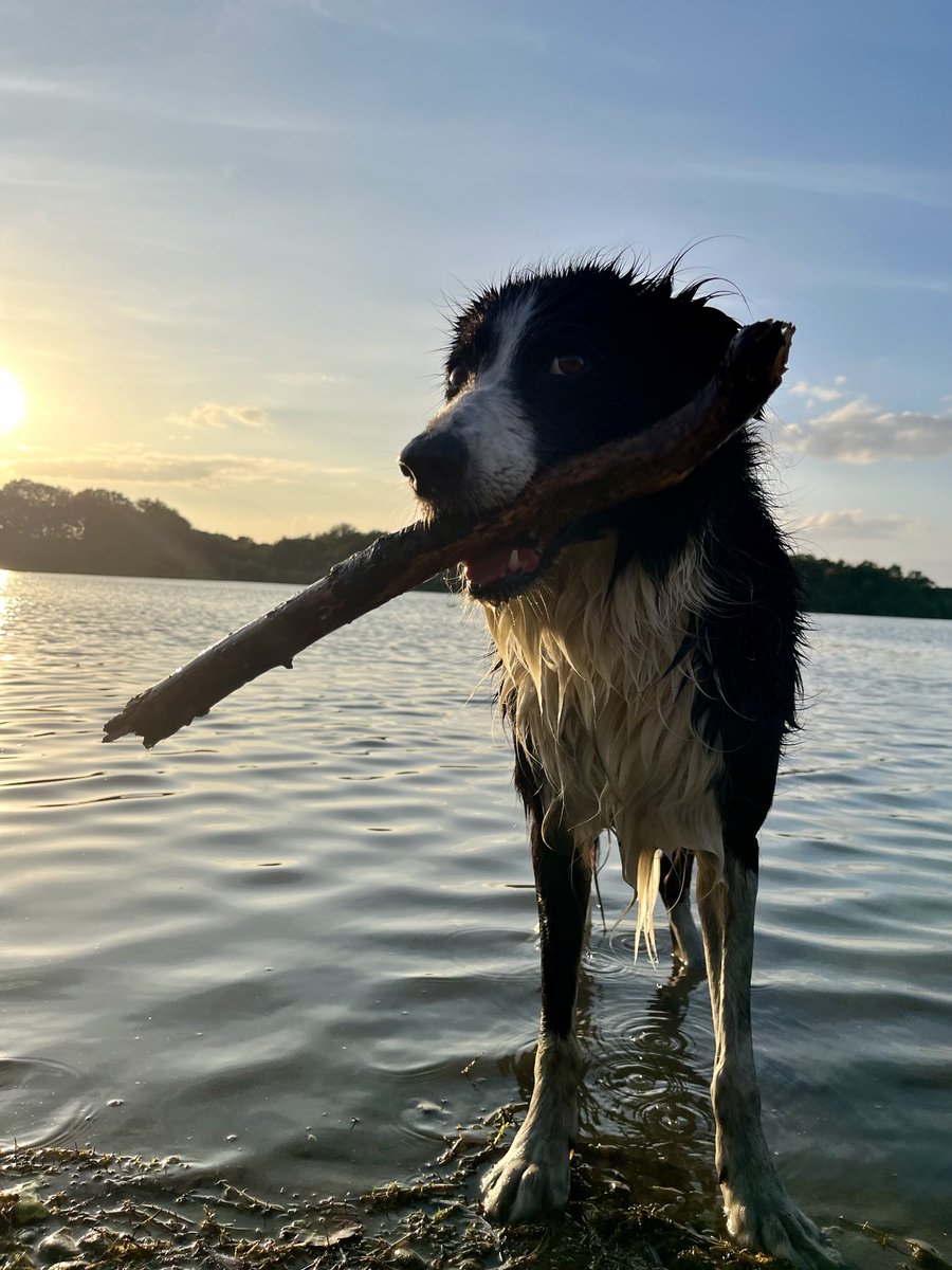 Who loves an evening swim?
