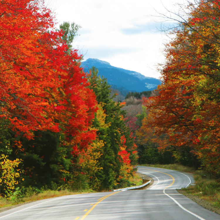 AnaDivincienzo's tweet photo. Not a bad shot from a (now) preppy girl from Wyoming, if I do say so myself. #wyoming #fallfoliage #us89 I do love the #fall colors. https://t.co/IEjVBjQEKb
