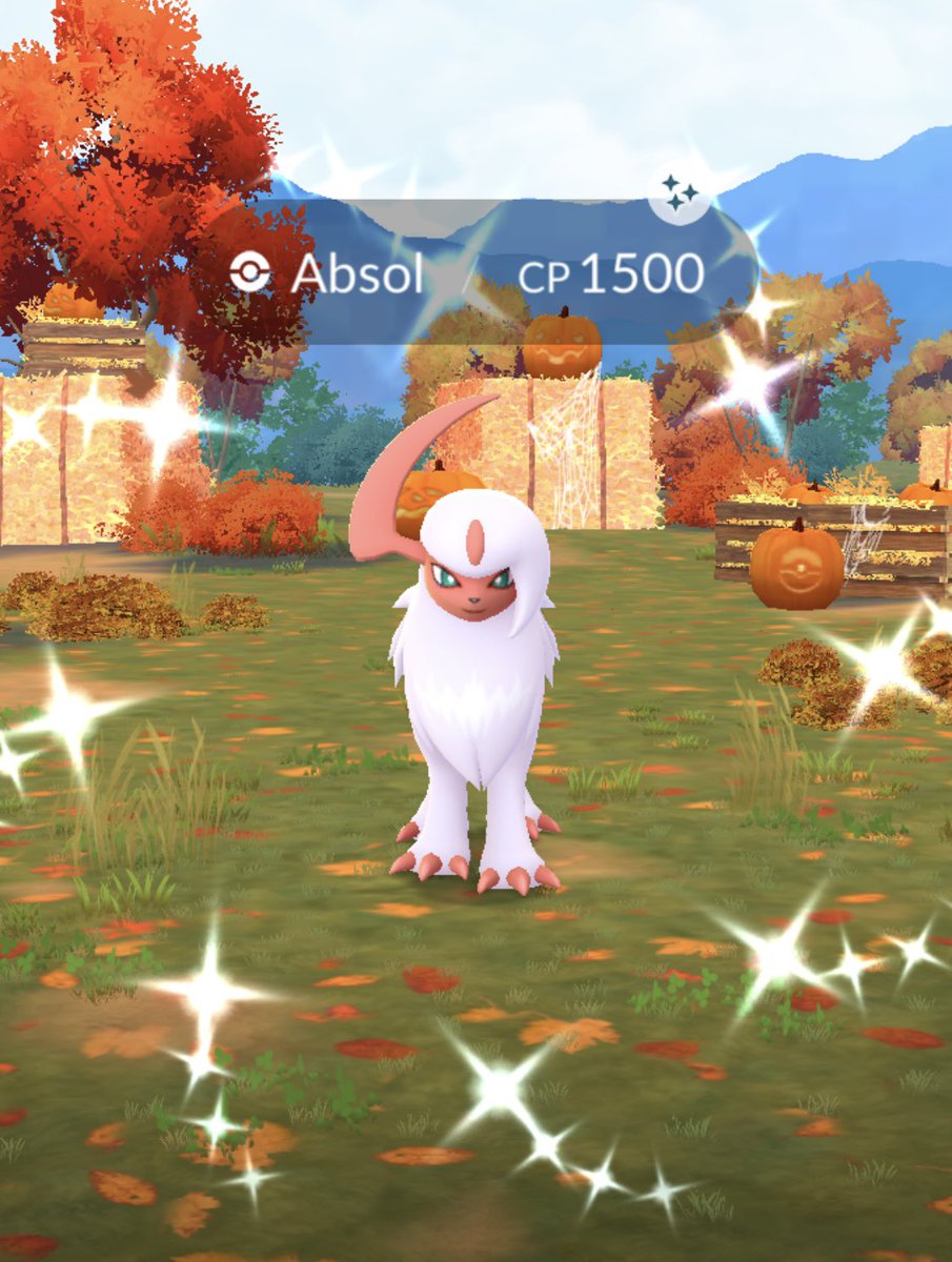 Paul ✨ tweet media