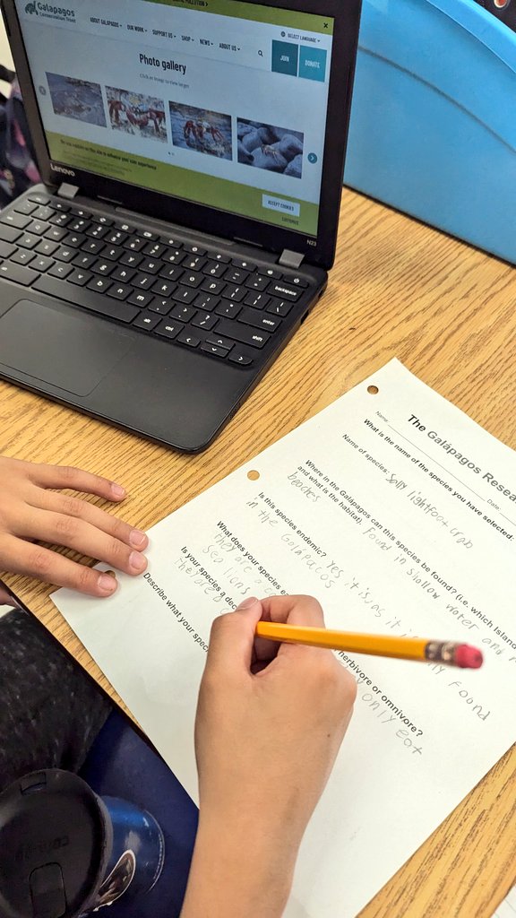 MrsMorgado1's tweet photo. After sharing some photos/ videos from my @LindbladExp @NatGeoEducation expedition to #Galapagos as a provocation students chose their own species to study as part of our science habitats unit. Connected to story we read about Lonesome George. #grovenorteacher #teacherexplorer https://t.co/C0hy0pF5HN