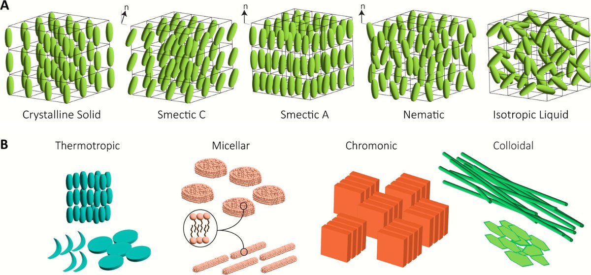 SMART-Lab (@hamedshahsavan) on Twitter photo Our perspective on the potential of #liquidcrystals in #microrobotics can be found through a short story and snippet told by great researchers of my team Negar, Matthew, Cole, Ramon, and Azin <a href="/uwaterloo_che/">University of Waterloo Chemical Engineering</a> <a href="/WaterlooENG/">Waterloo Engineering</a> published at Accounts of Mater. Res. pubs.acs.org/doi/10.1021/ac⌠Our perspective on the potential of #liquidcrystals in #microrobotics can be found through a short story and snippet told by great researchers of my team Negar, Matthew, Cole, Ramon, and Azin <a href="/uwaterloo_che/">University of Waterloo Chemical Engineering</a> <a href="/WaterlooENG/">Waterloo Engineering</a> published at Accounts of Mater. Res. pubs.acs.org/doi/10.1021/acâŚ