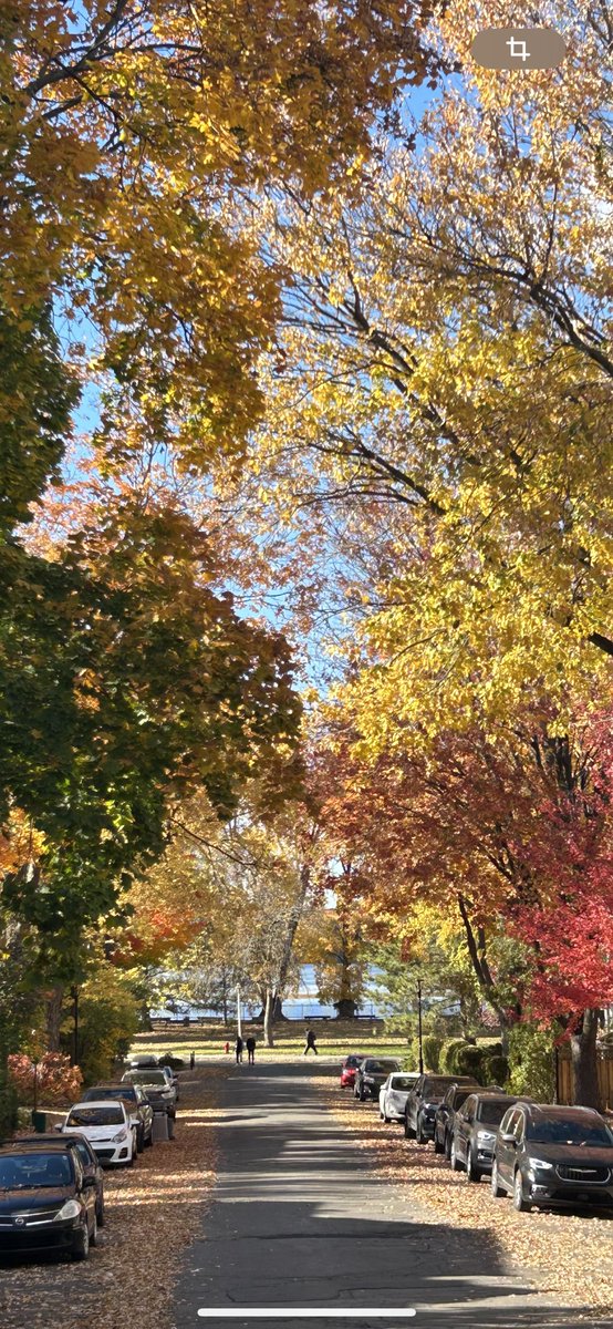 kader_chk's tweet photo. 🍂🍁 https://t.co/yQ5LenWnEc