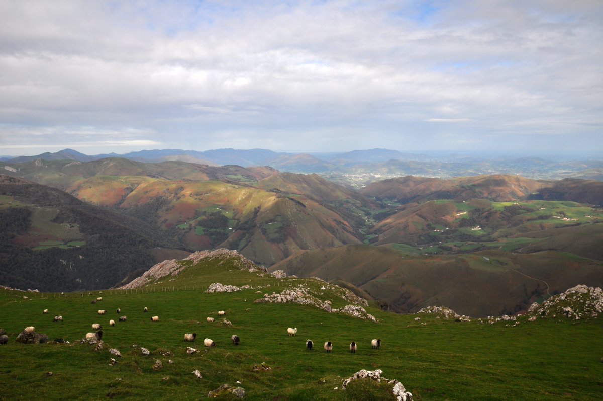 Randonnées Pyrénées tweet media