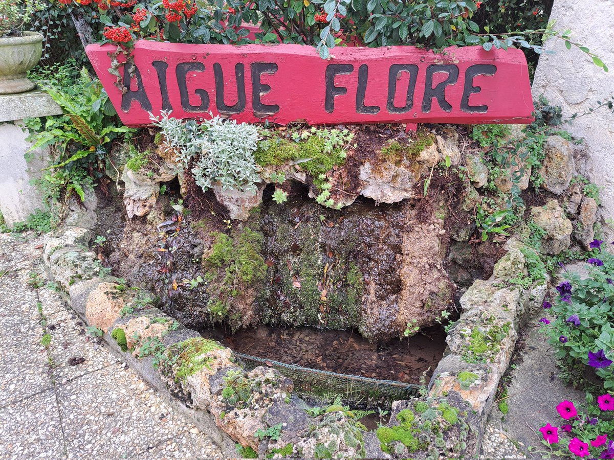ch_hasenfratz's tweet photo. Encore quelques photos du parc jardin derrière la mairie de #LaFalaise
Un coin tranquille où en été il doit faire bon de se poser avec un 📖 😉 https://t.co/WuufczKgoO