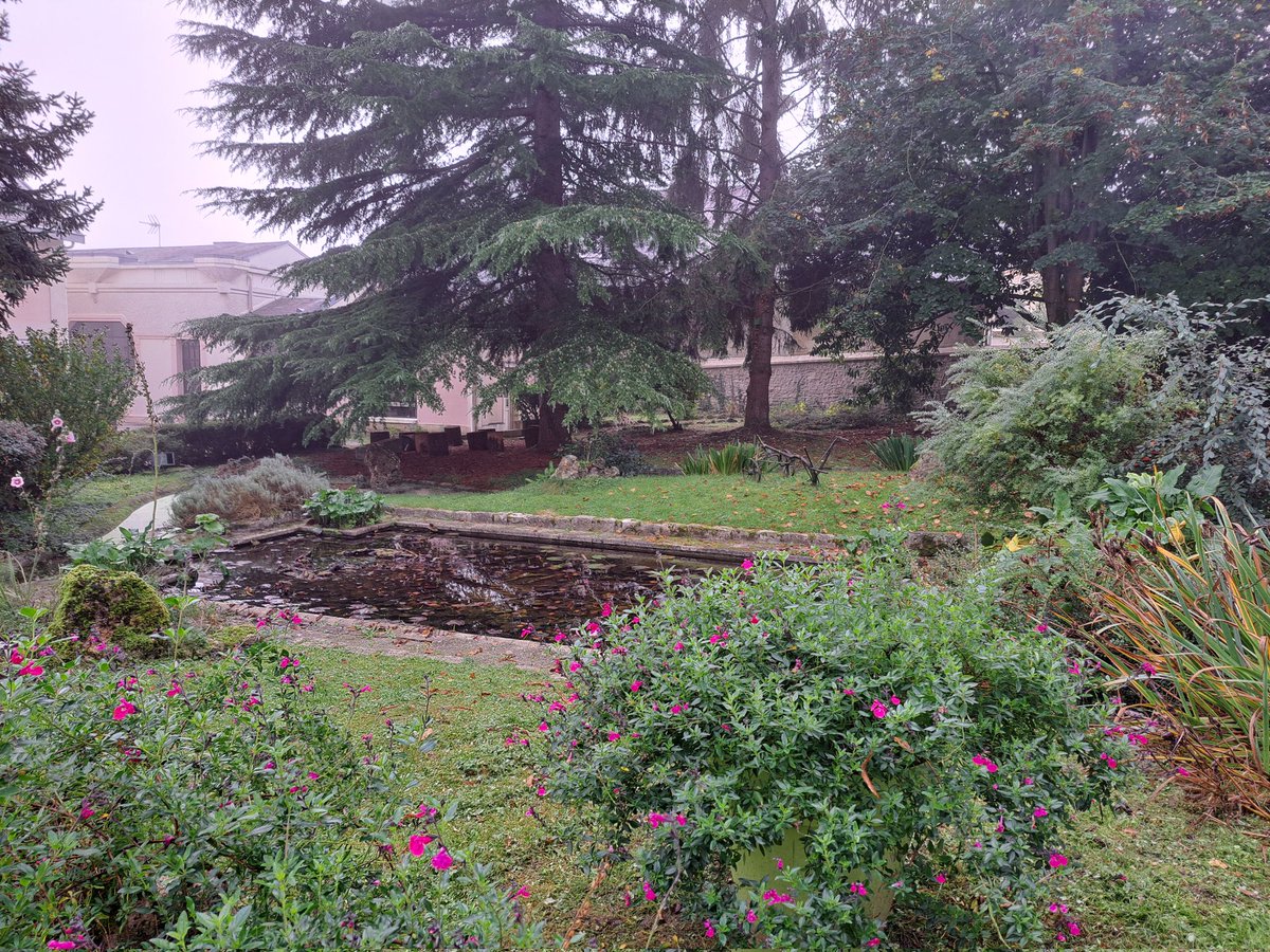 ch_hasenfratz's tweet photo. Encore quelques photos du parc jardin derrière la mairie de #LaFalaise
Un coin tranquille où en été il doit faire bon de se poser avec un 📖 😉 https://t.co/WuufczKgoO