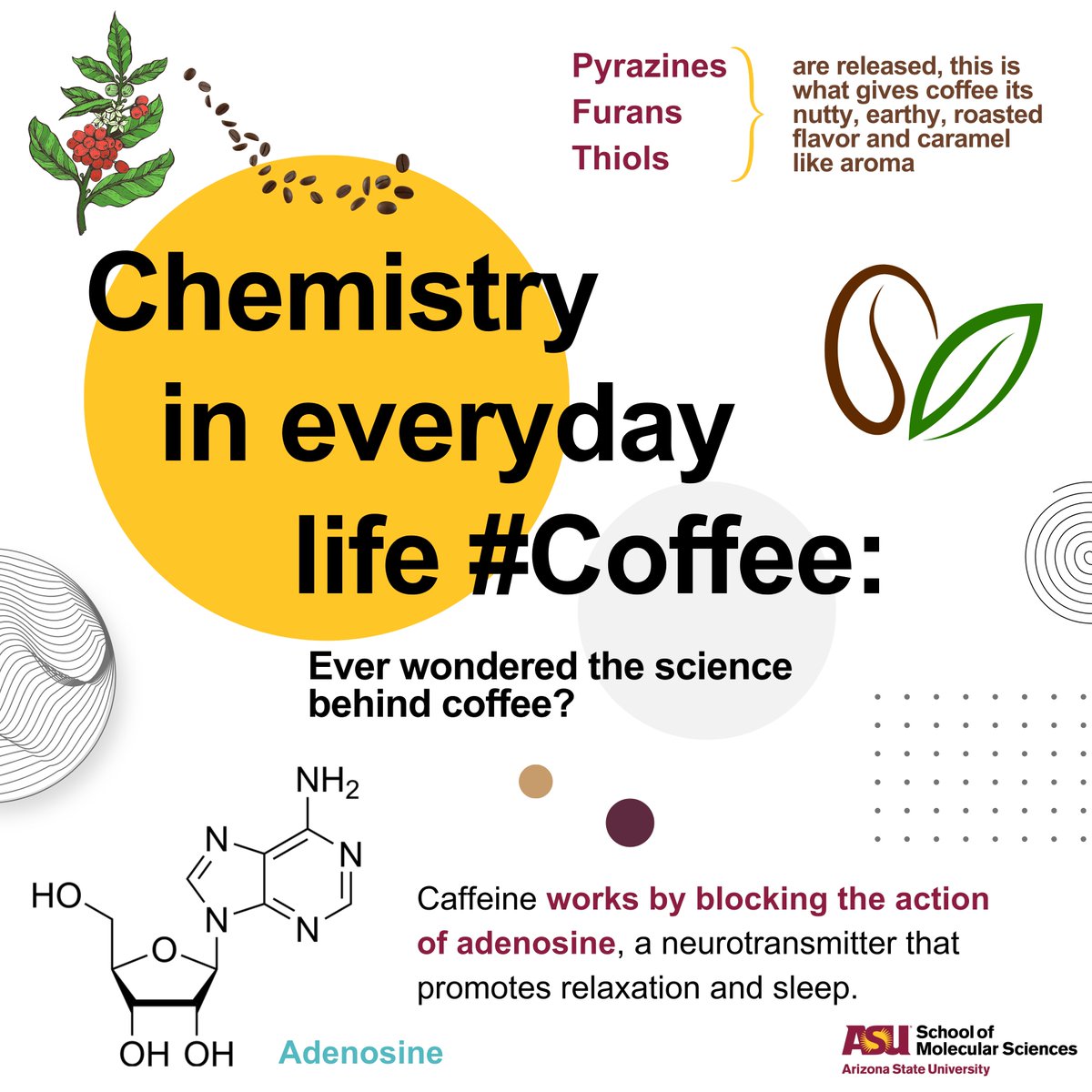 ASU School of Molecular Sciences tweet media