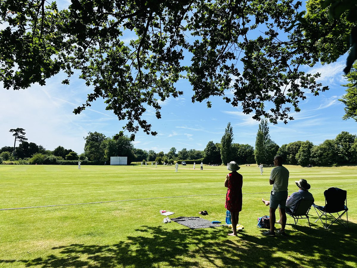 WG RumblePants tweet media