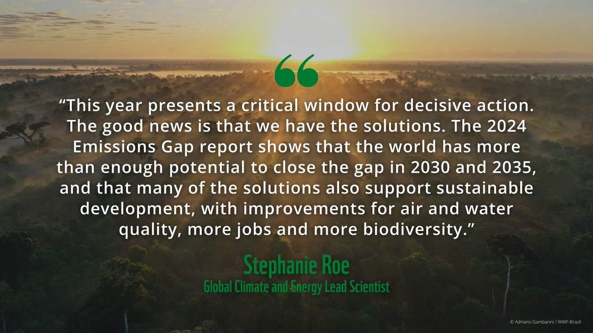The UNEP Emissions Gap Report 2024 is out, and it highlights the urgency for countries to raise their 2030 climate targets and act swiftly.
 
Learn more: wwf.panda.org/?12369466/emis…
