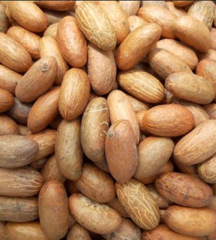Prince_Fynnd's tweet photo. The Importance Of Bitter Kola In Male Sexual Health

-Cure Impotence: Impotence caused by failure maintaining an erection during a sexual intercourse.  By increasing the blood flow of the genital area, bitter kola can be used as an effective remedy for ED(Erectile Dysfunction)

- Improving Sexual Performance: For people with low libido.
-Promote Male Fertility: Improve your performance in bed.

-Prolonging Life

-No Side Effects

-Medicinal Significance: Anti-inflammatory, Antimicrobial, and Antiparasite properties.

Check Thread 👇