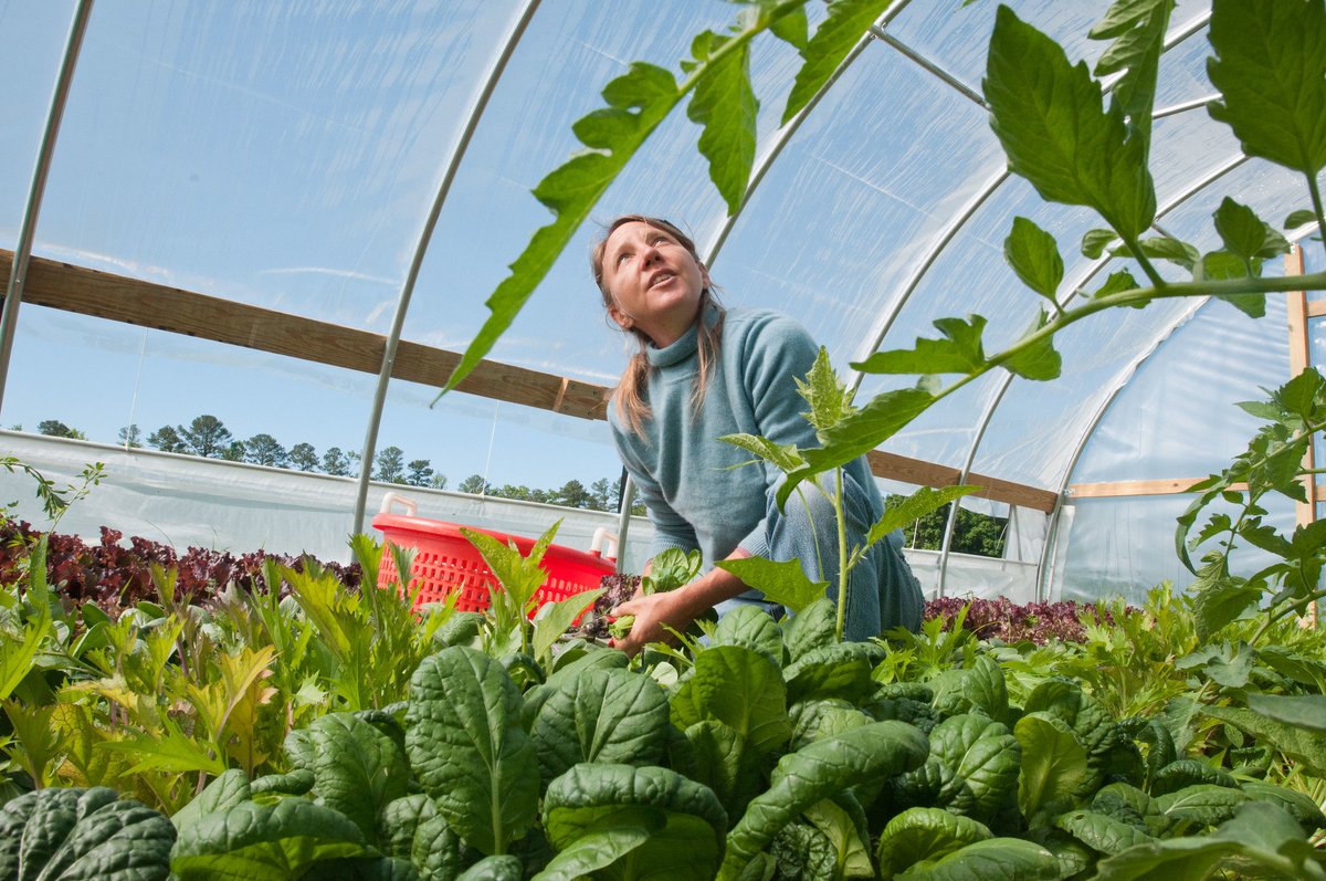 This Small Business Saturday, connect with your community through the food you buy and the meals you make. Explore how to support local farmers and food systems by visiting NAL’s Food and Nutrition Information Center. nal.usda.gov/human-nutritio…