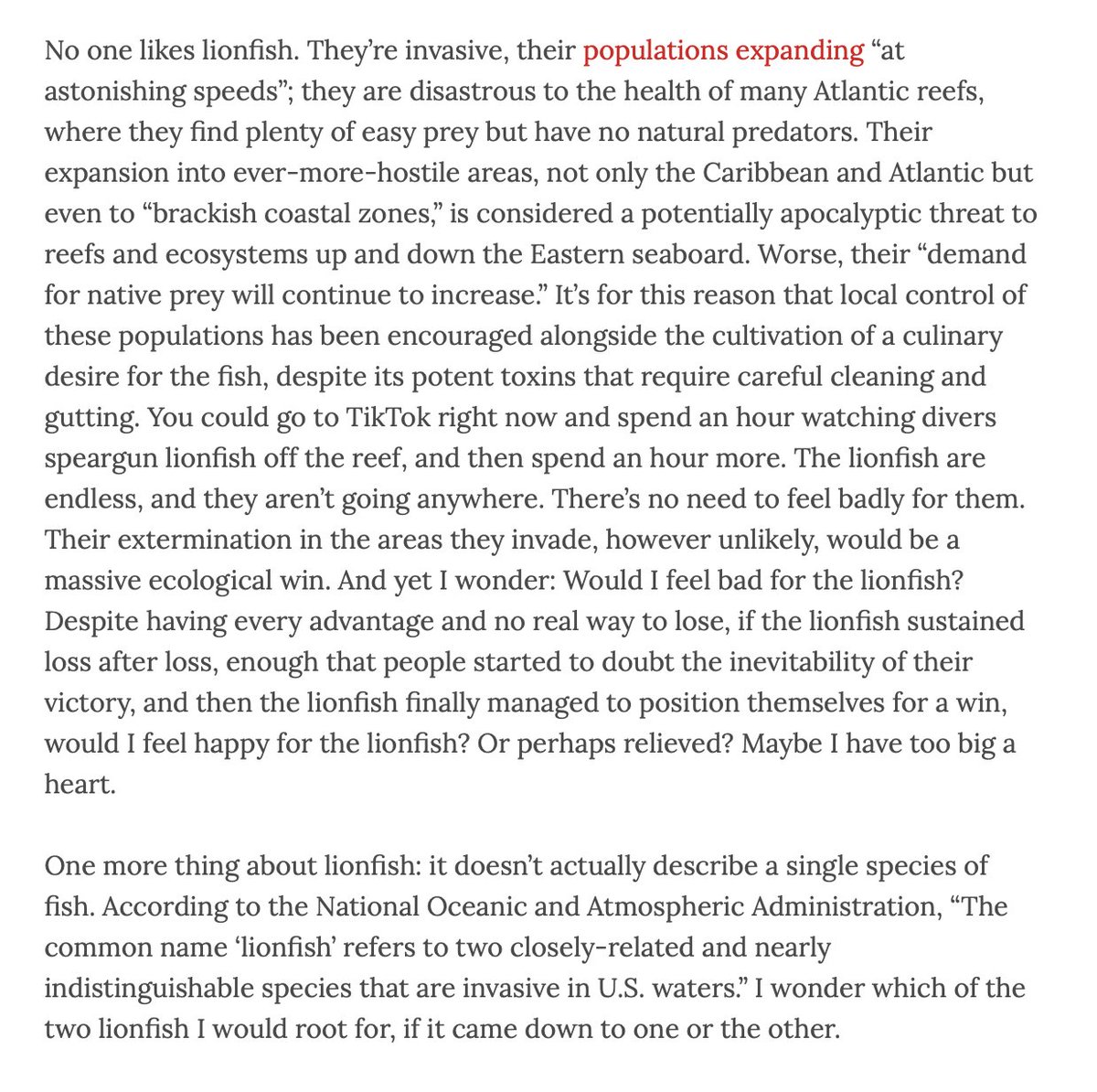 ginny searle (@ginnysearle) on Twitter photo 