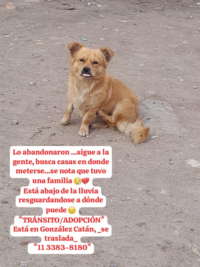 patripeyrou's tweet photo. Rt
Difundimos https://t.co/GLcwjkLJ2I