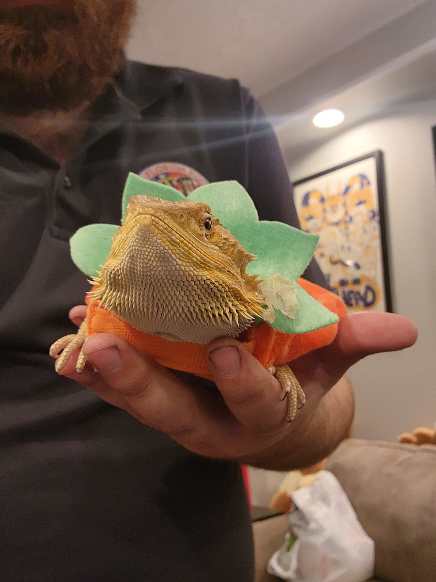 DylPhresh's tweet photo. Lizard https://t.co/mKQKzsPAZz