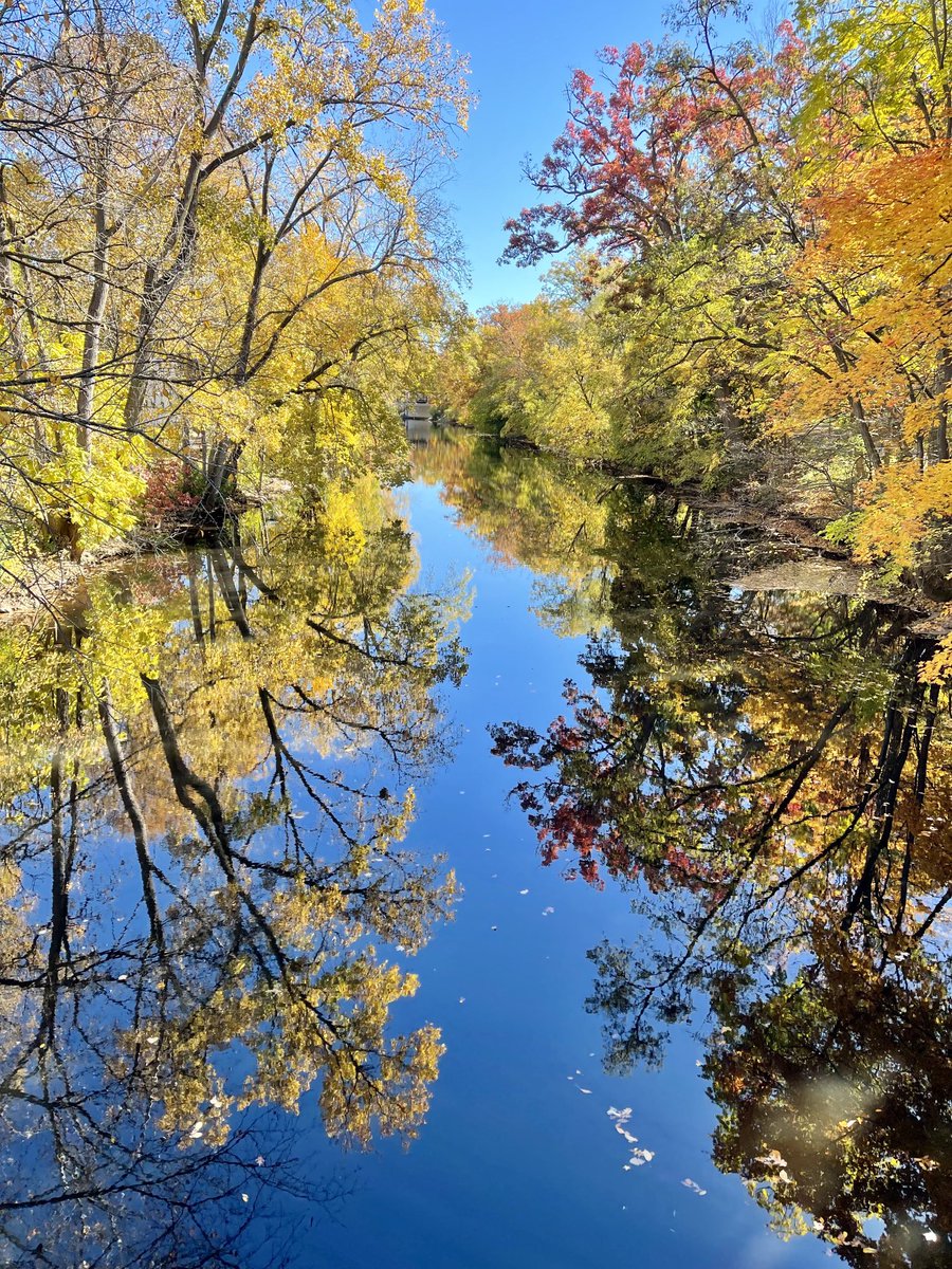 Fall colors are blooming on <a href="/michiganstateu/">MSU</a> campus. Enjoy this nature’s feast for your eyes.