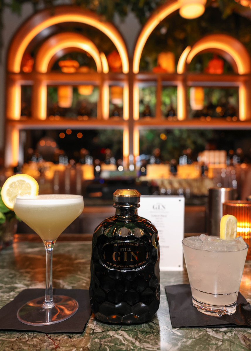 DreAndSnoop's tweet photo. Raise a glass to the launch of #StillGin and an unforgettable night in NYC. 
📸: @NataCam_ https://t.co/dsQH1SZoG7