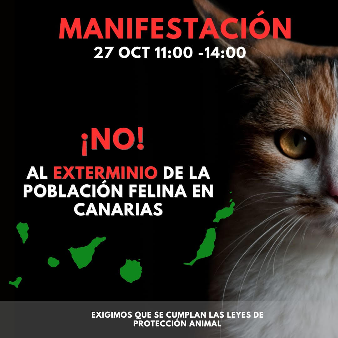 apdda's tweet photo. #DerechosAnimales APDDA apoya la manifestación contra el exterminio de las poblaciones felinas de Canarias este próximo domingo, 27 de octubre, en varias ciudades del archipiélago canario. https://t.co/o5C7VY9Uip @ChesusYuste @nah_gon @danielsenderos https://t.co/DHyx35x09R