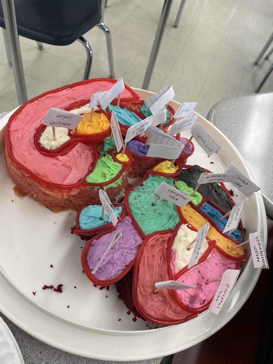 AP Psychology Brain Fair 2024! I always love seeing what the students come up with! Thank you Mr. Silipena for joining our fair! 😊 🧠 <a href="/pthsnation/">Pequannock Township High School</a> @RichHayzler #peqpantherpride #psychology