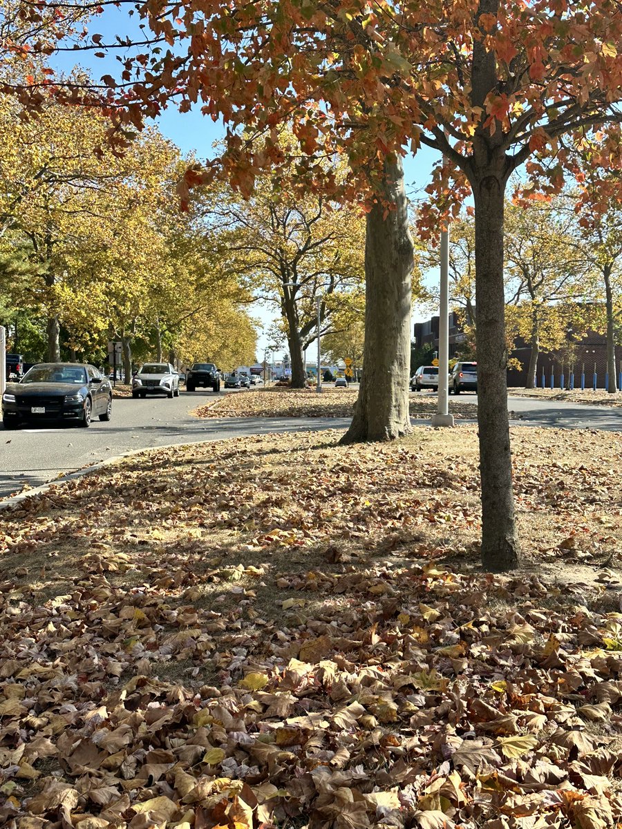 Judegistyu's tweet photo. Tis the season #fall #secondFavorite https://t.co/hMFPPJt8pk