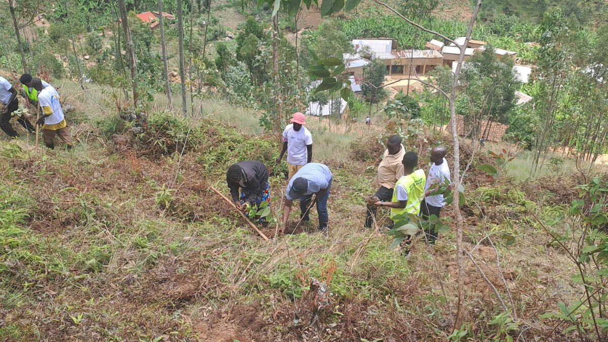 Kuwa 23 habaye umuganda 
Haterwa ibiti gakondo  kuri 2ha 
Hatangwa ibiti by'imbuto 1000
Kubufatanye numushinga IOM UN Migration na REMA 
Umuganda w'itabiriwe nabantu 476