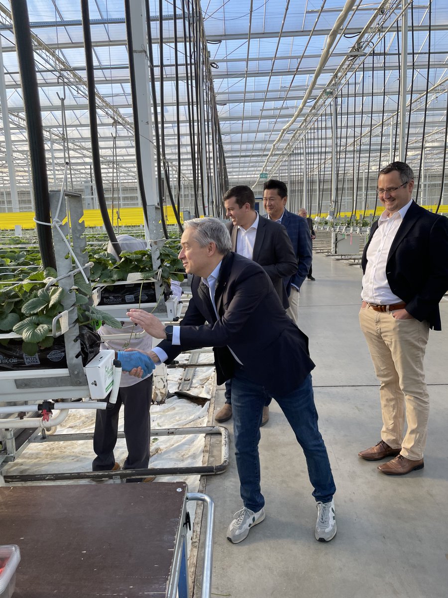 François-Philippe Champagne (FPC) 🇨🇦 (@fp_champagne) on Twitter photo .<a href="/MucciFarms/">Mucci Farms</a> are true leaders in greenhouse innovation! 🌱Their dedication to fresh, sustainable produce is shaping the future of Canadian agriculture.
Thank you for the warm welcome! .<a href="/MucciFarms/">Mucci Farms</a> are true leaders in greenhouse innovation! 🌱Their dedication to fresh, sustainable produce is shaping the future of Canadian agriculture.
Thank you for the warm welcome!