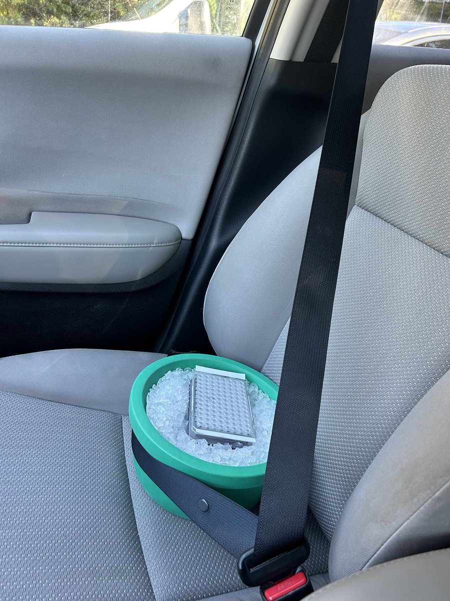 Taylor Medlock-Lanier tweet media