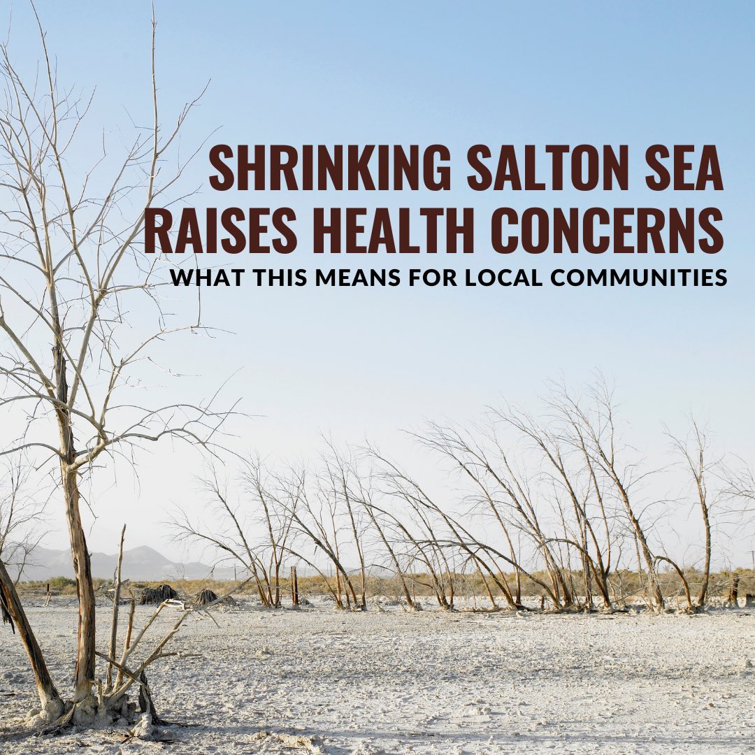 🔎 The Salton Sea is rapidly drying, exposing more lakebed &amp; increasing wind-blown dust in nearby communities. This dust contains harmful particles like toxic metals, leading to public health concerns especially for children in the area.#SaltonSea #EnvironmentalJustice #CCVHealth