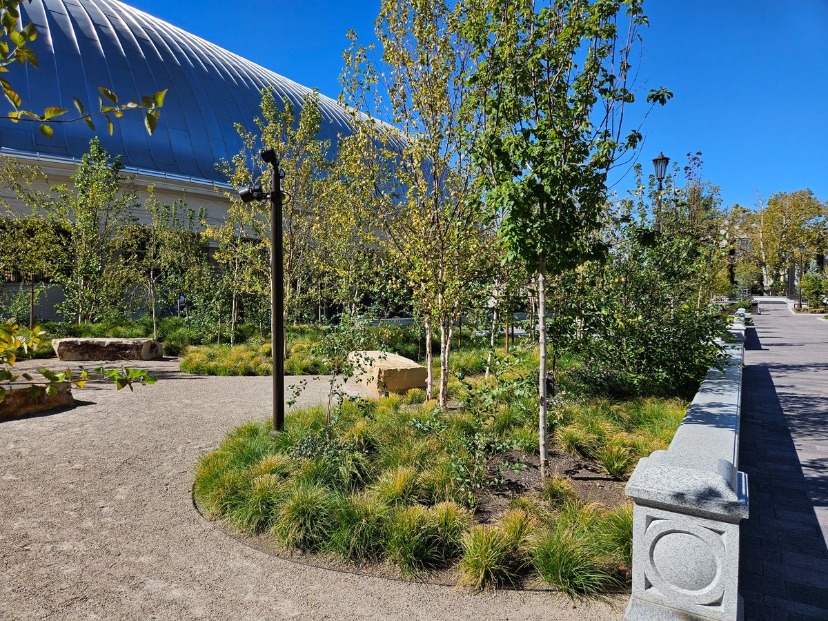 UteliteCorp's tweet photo. Fun fact: Utelite Root Zone Mix is used exclusively in all planting boxes and garden areas in the historic Temple Square in Salt Lake City, UT. Our Root Zone Mix streamlines routine maintenance and reducing water and fertilizer needs. https://t.co/TH99ykDdmx