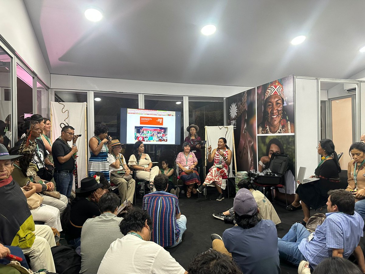 IPRightsIntl's tweet photo. 🌿🦜 IPRI at COP16! 🦜🌿
Since Monday, we've been in Cali sharing valuable experiences with our Indigenous brothers and sisters from different territories! Here’s a glimpse of what we’ve been discussing:

📘 GBF Training Manual presentation: We’re thrilled to share our project’s progress on the GBF with the support of @giz_gmbh. Our partners @CNTI_Indigena, @chirapaqoficial, and @ApibOficial  are leading experiences of Indigenous National consultations and contextualizing the GBF across Latin America. 

Huge thanks to CNTI for co-organizing!