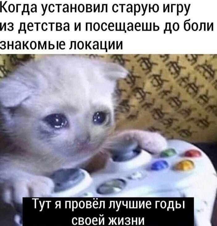 🐸жабья принцесса👑 (@kxiq7u7oc8nsgnc) on Twitter photo 