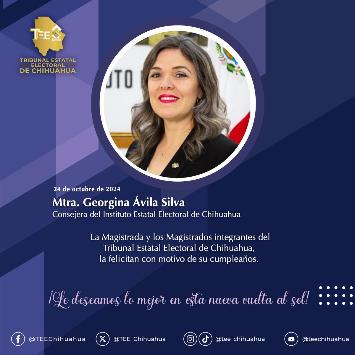 TEEChihuahua tweet media