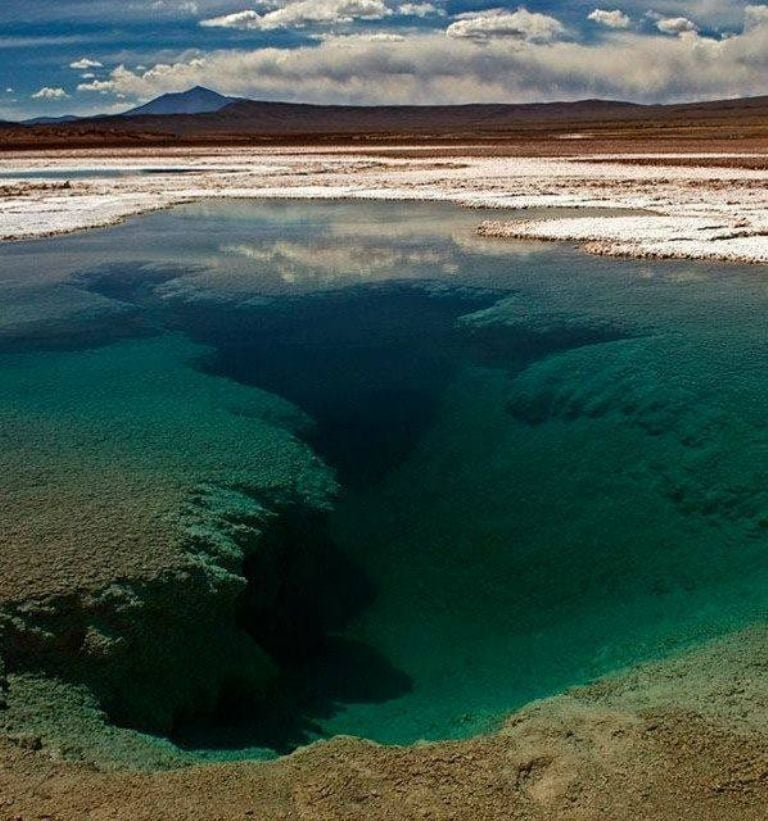 TraductorTeAma's tweet photo. GRAVE CIERREN EL CONICET| En Salta la intervención estatal con complicidad del CONICET 'destruyó una maravilla de la naturaleza y extinguieron a los estromatolitos (la forma de vida mas antigua que se conoce, y también una de las más importantes que hoy se estudia):

En 2023 la Secretaría de Ambiente aprobó la construcción de unas plataformas para acercar a los turistas. "Construyeron una plataforma para que turistas se puedan acercar, son suelos que se desmoronan fácilmente, eso ahora es un barrial, los tres ojos del mar quedaron sucios, con barros, por lo que no entra luz y los extremófilos ya no existen", señaló la doctora Farías.

"Eso se llenaba de agua transparente y no había problema, esa inundación de barro surge a partir de las toneladas de cemento que se colocan"

"El estudio de impacto ambiental lo firma un ingeniero ambiental, no hay un geólogo que como mínimo se debe haber consultado, eso no se hizo y fue aprobado por la Secretaría de Medio Ambiente",