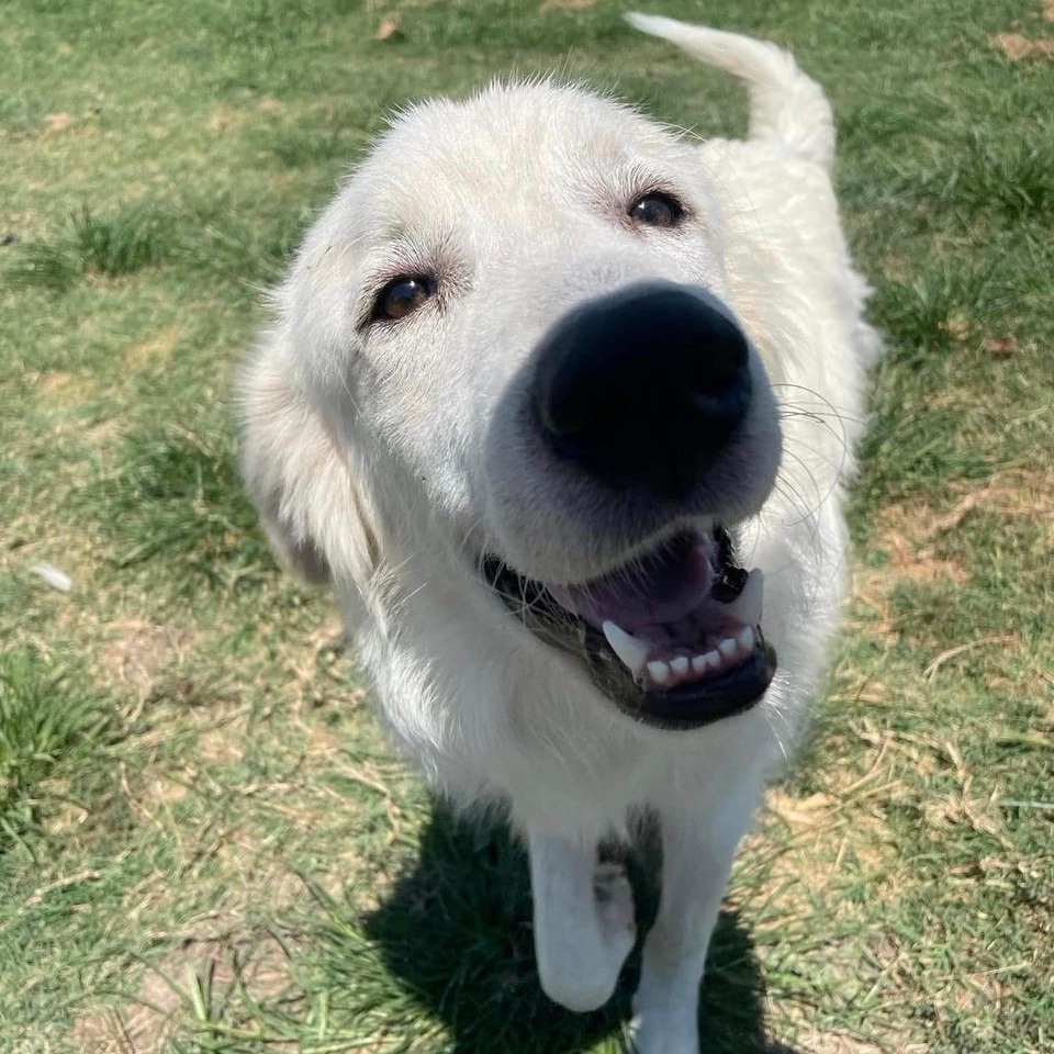 Spin Rescue tweet media