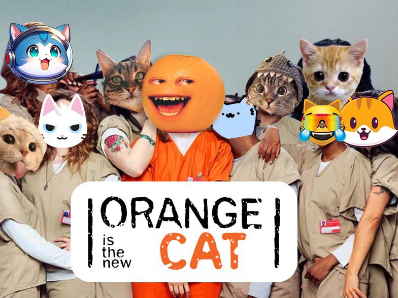 A_In_Crypto's tweet photo. @0xPajke Hodl $ORANGE 🍊🍊🍊 https://t.co/X6sDs07gAO