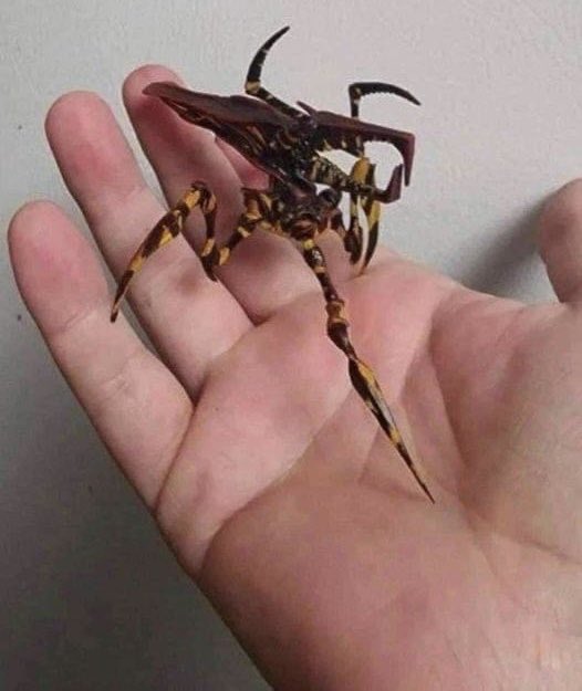 Annette Michelle tweet media