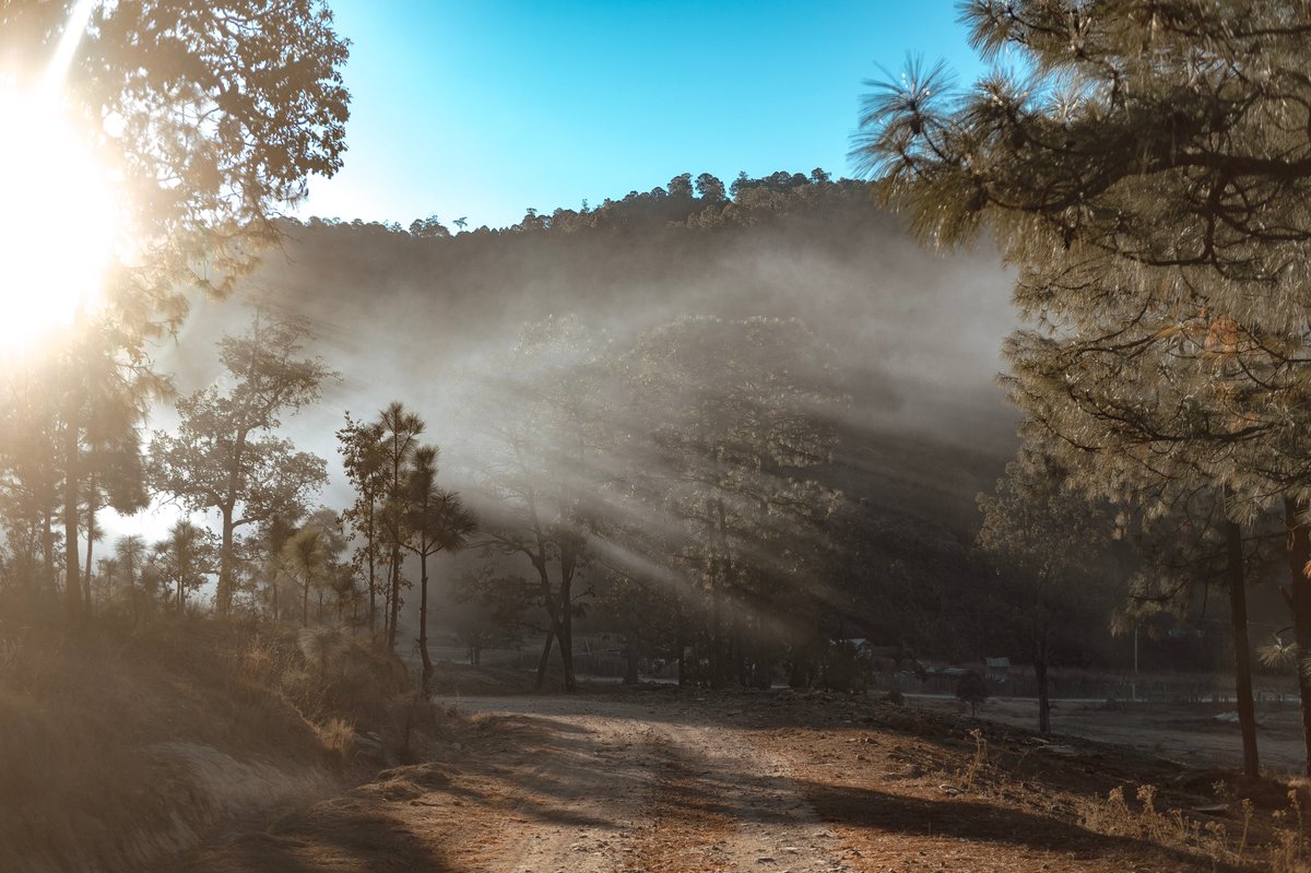 Vive_Dgo's tweet image. 🌄🌲☀️ Nada se compara con la belleza de un amanecer en nuestra sierra, donde los primeros rayos de sol se filtran entre los pinos, iluminando cada rincón con esperanza y vitalidad.

Descubre la magia de vivir plenamente. 💚 #VIVE