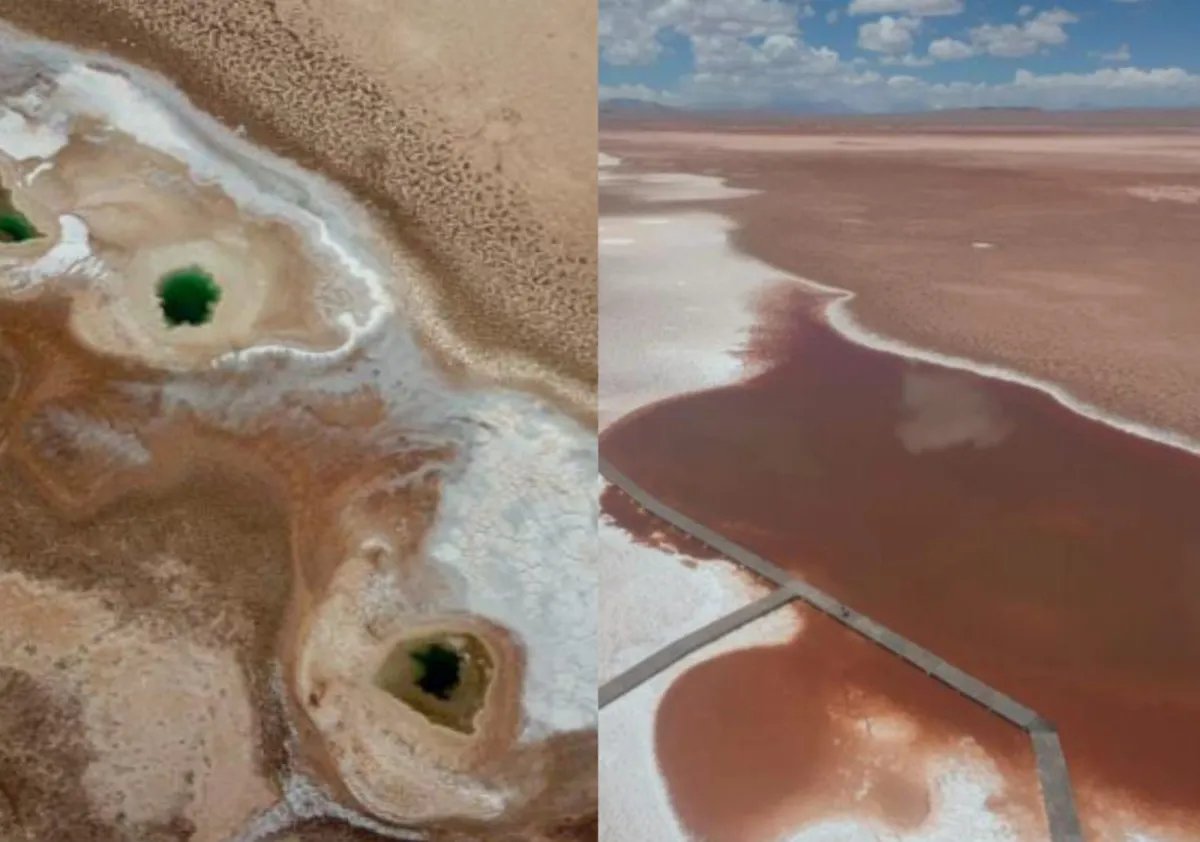 TraductorTeAma's tweet photo. GRAVE CIERREN EL CONICET| En Salta la intervención estatal con complicidad del CONICET 'destruyó una maravilla de la naturaleza y extinguieron a los estromatolitos (la forma de vida mas antigua que se conoce, y también una de las más importantes que hoy se estudia):

En 2023 la Secretaría de Ambiente aprobó la construcción de unas plataformas para acercar a los turistas. "Construyeron una plataforma para que turistas se puedan acercar, son suelos que se desmoronan fácilmente, eso ahora es un barrial, los tres ojos del mar quedaron sucios, con barros, por lo que no entra luz y los extremófilos ya no existen", señaló la doctora Farías.

"Eso se llenaba de agua transparente y no había problema, esa inundación de barro surge a partir de las toneladas de cemento que se colocan"

"El estudio de impacto ambiental lo firma un ingeniero ambiental, no hay un geólogo que como mínimo se debe haber consultado, eso no se hizo y fue aprobado por la Secretaría de Medio Ambiente",