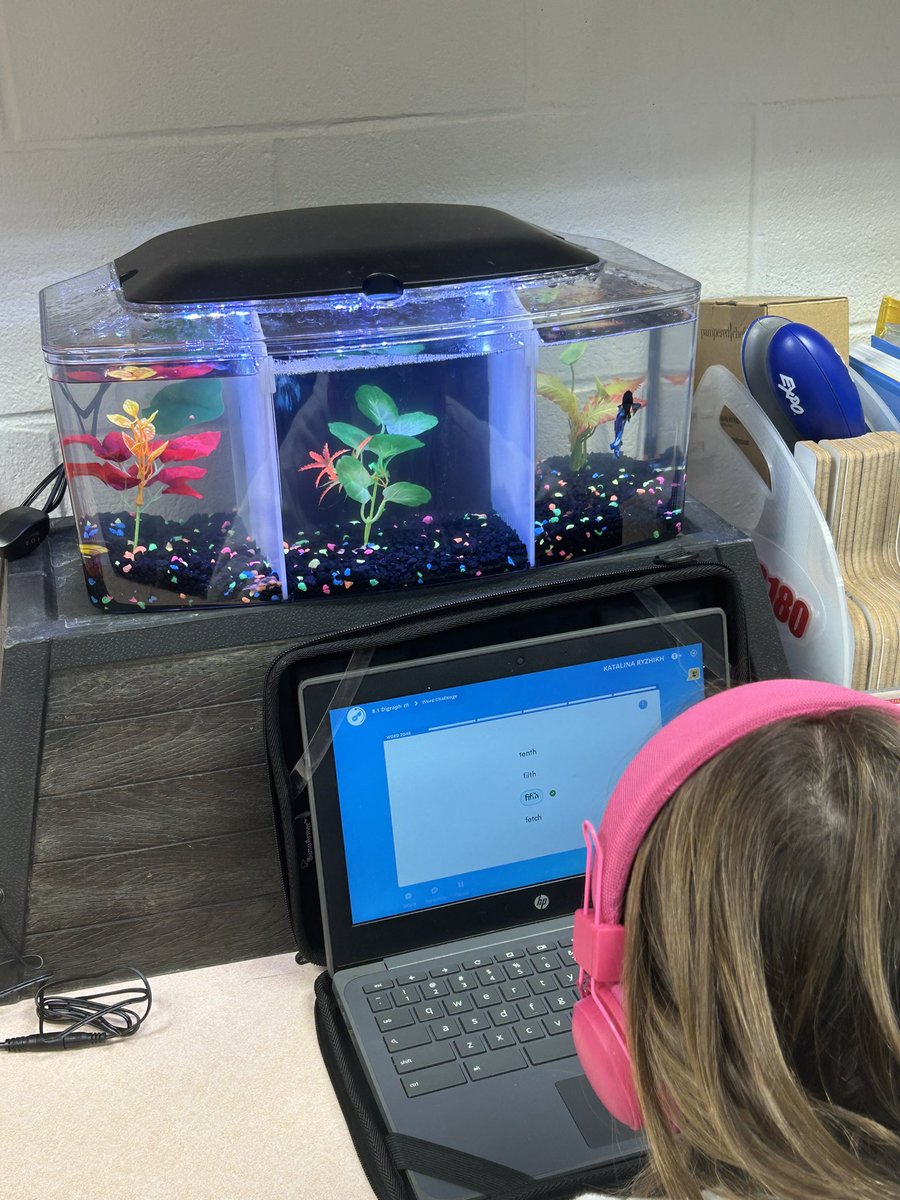 SusanLHenderson's tweet photo. THE PATH, R180 HMH - foundational skill building! @VBSAcaSupport https://t.co/vvayphBXog
